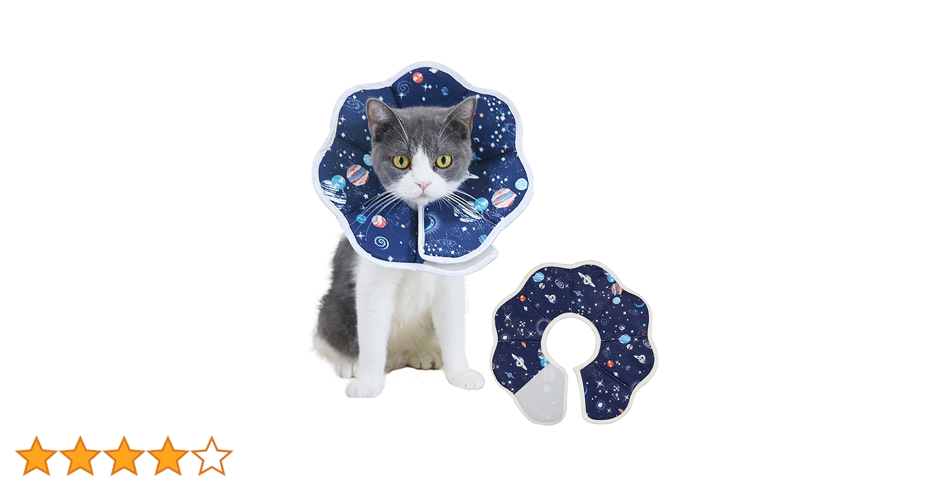 ストロベリー猫猫ページ ストロベリー猫猫ページ ストロベリー猫猫ページ Amazon